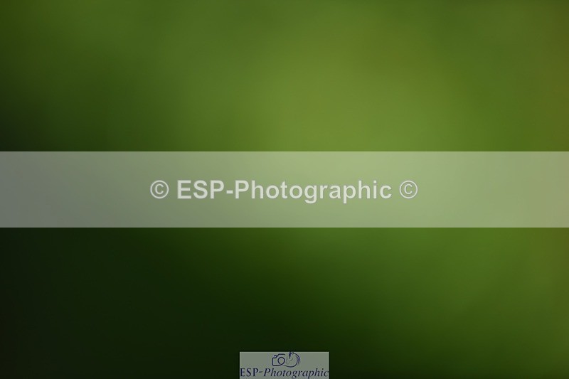 240605-114216-00819 - Cls 2 Prelim 19 SQ