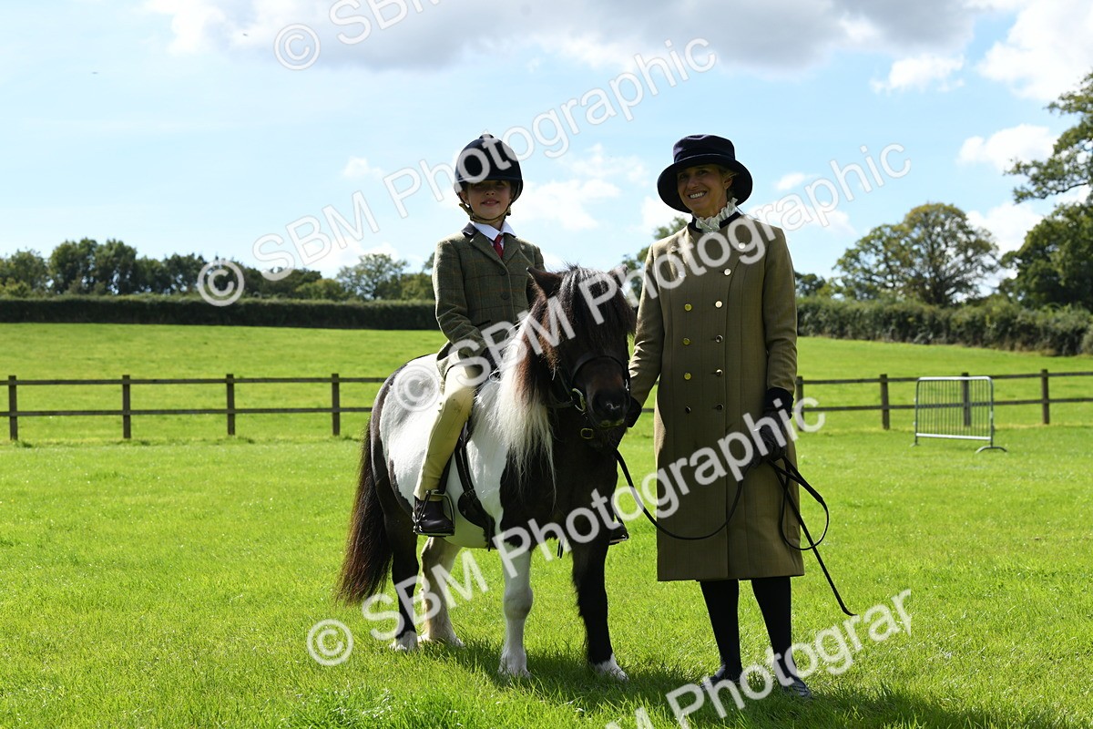 SBM_42575 - S20 - Lead Rein Mountain & Moorland Pony