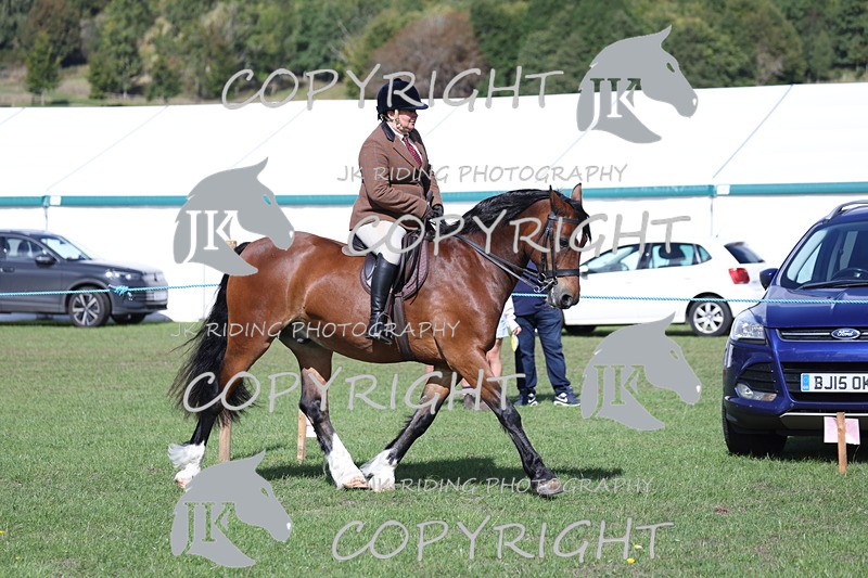 APP_3050 - Class 11 Veterans ridden