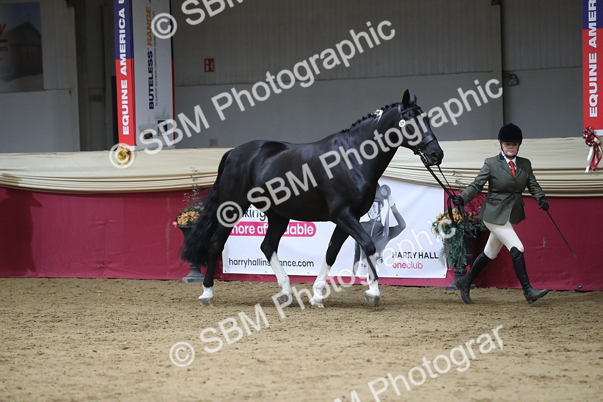 SBM_06372 - Class 9R Regional- IH Pre Vet
