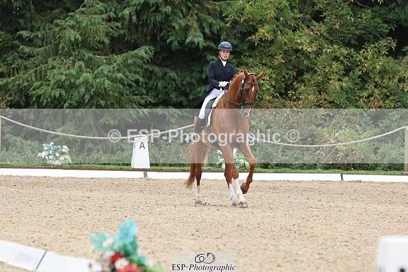 240810-133349-03335 - 188-Amanda.Towle.Shaw-Rockwood.Virtue