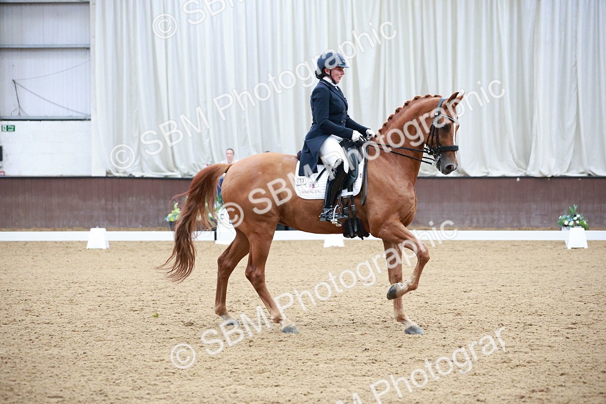SBM_009551 - Class 13 - FEI PSG - 11.06-12.34