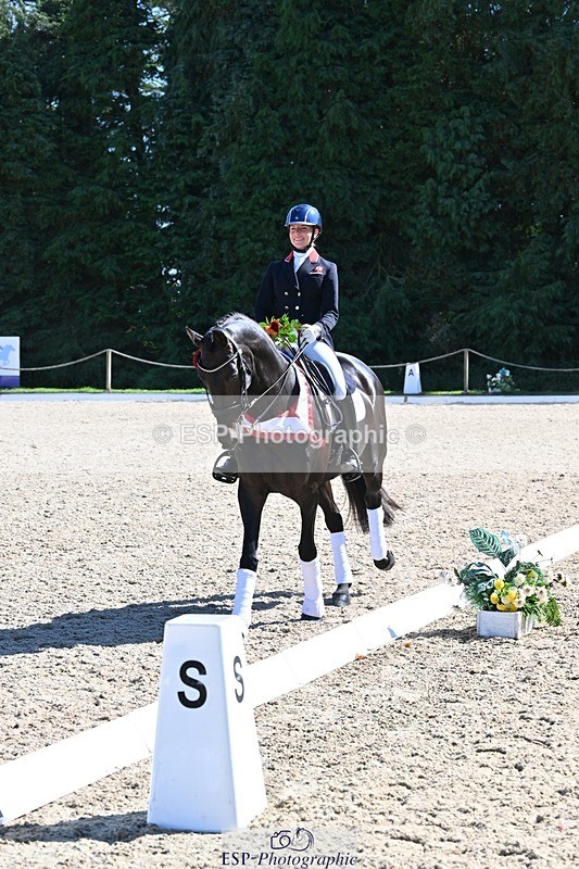 240811-154050-06765 - Inter I Gold