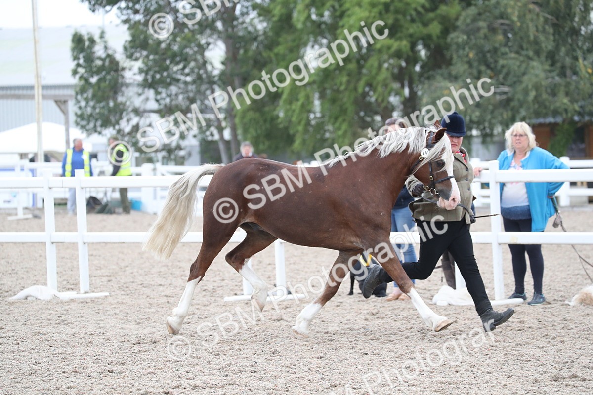SBM_17895