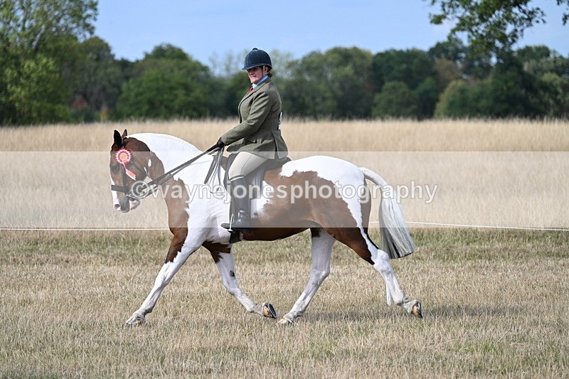 WJ7_7805 - Ridden Championship