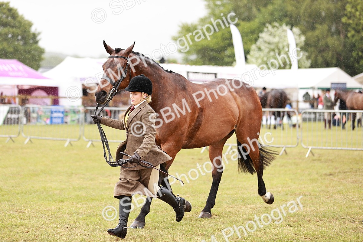 SBM_11006 - Class 81-84 - RIHS Ridden hunters Inc Ladies Hunter