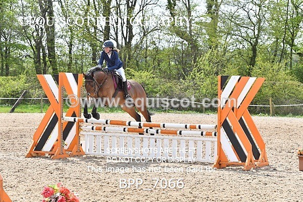 BPP_7066 - CLASS 5 FRI Veterans Show Jumping