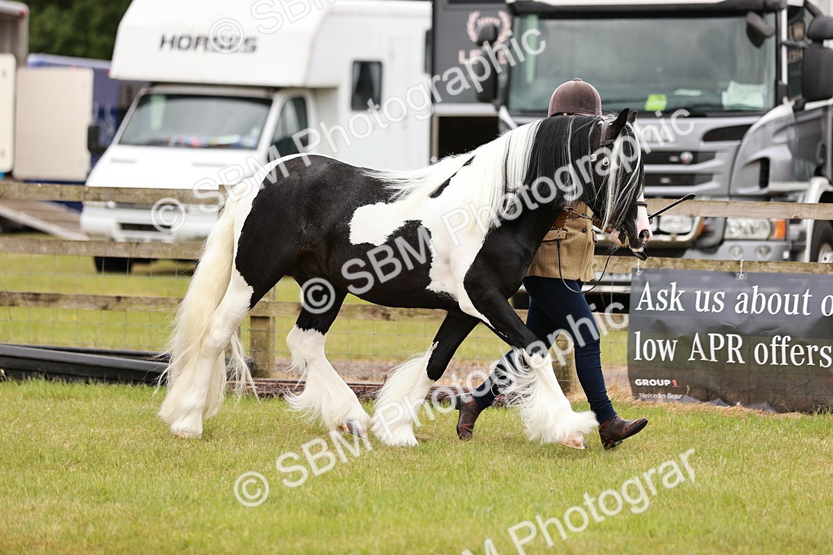 SBM_04561 - Class 5-8 - BSPA In hand
