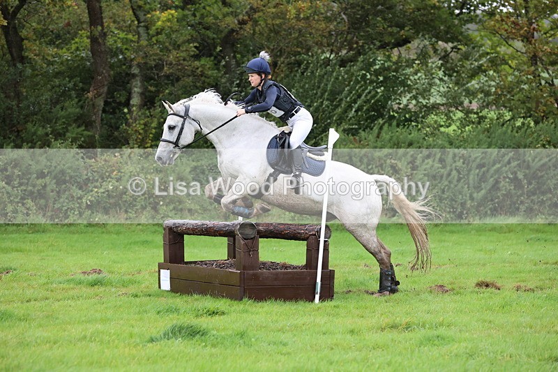 JPP_5444 - Class 4: 80cm: Crossed Logs