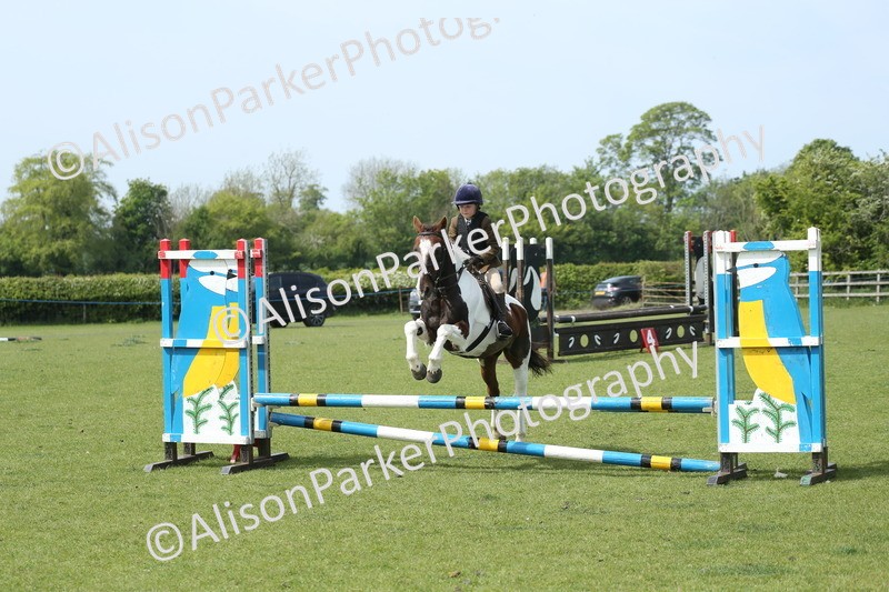 20260426-1775 - Class 14 - Novice 60cm