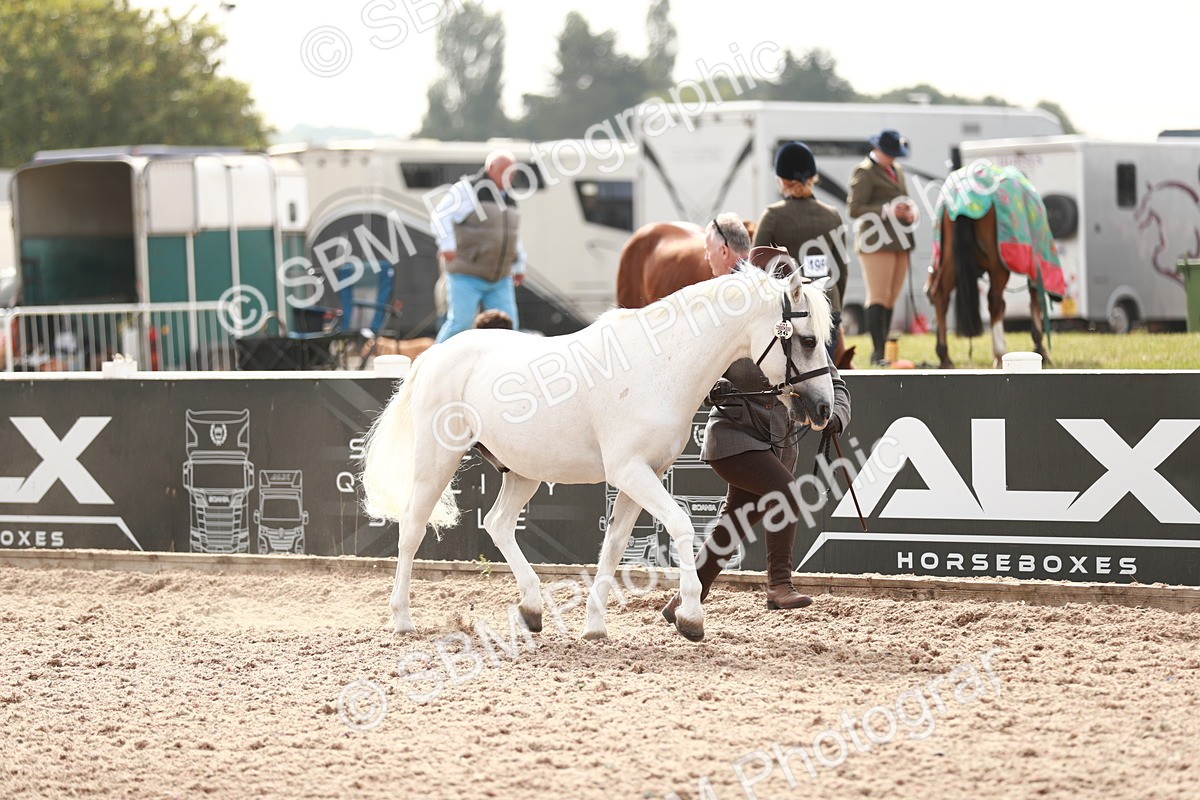 SBM_12410 - Class 207 IH M&M