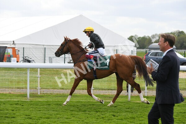 yr13052022r4-8 - Race 4 3.35pm The Paddy Power Yorkshire Cup (British Champions Series Race)