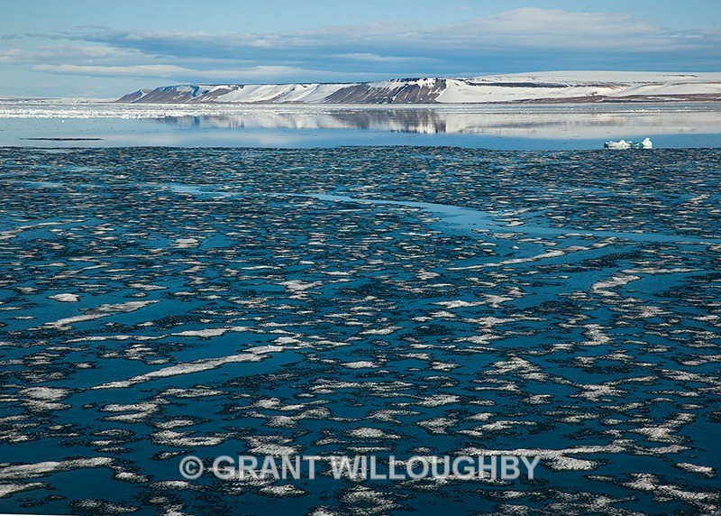  - Arctic
