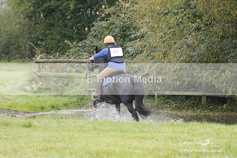  WWHT 171021 0902 - Open Novice (0.80m)  17/10/21
