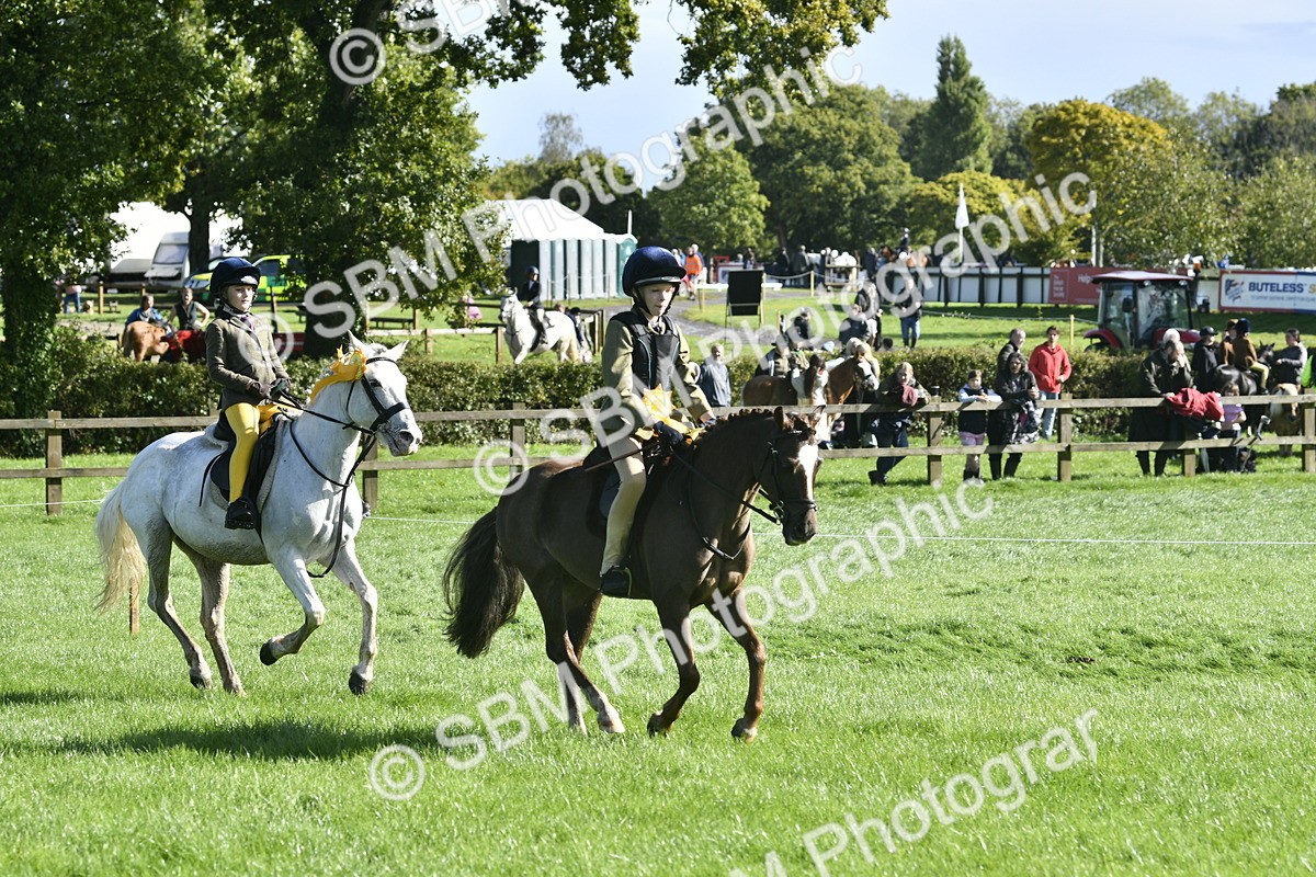 SBM_37259 - S31 - Novice & Newcomer Working Hunter Pony