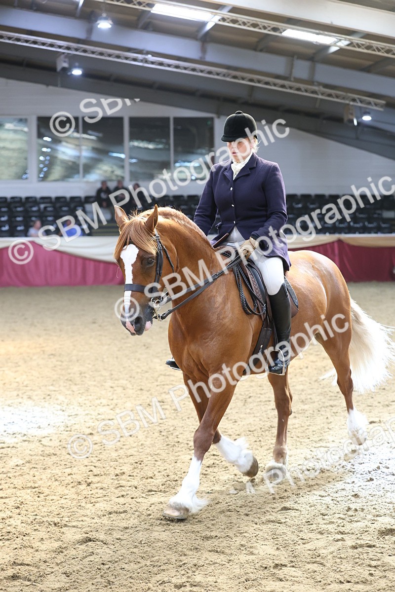 SBM_23822 - class 906 - Supreme Final - Ridden Pre Vet