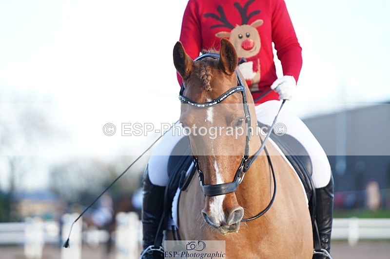 241214-102444-00165 - 108-Pippa.Knight-KFS.Boston.Burglar