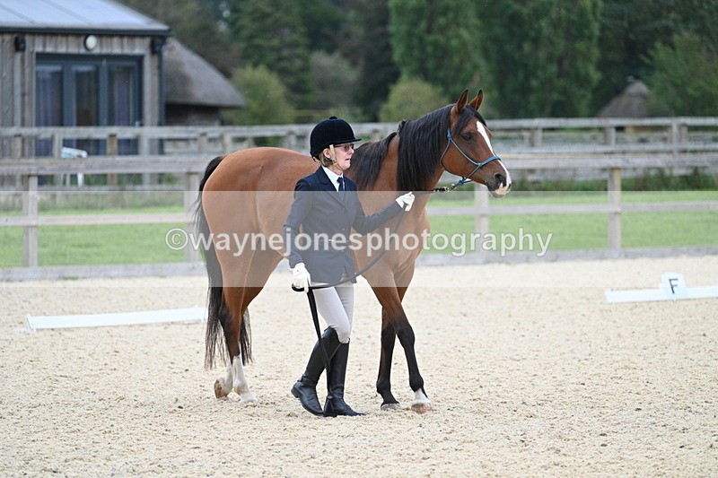 WJ7_1877 - Class 1 & Champs