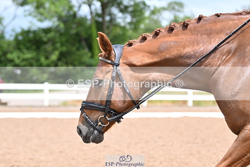 240622A-123625-10199 - Cls 34 BD Music Medium