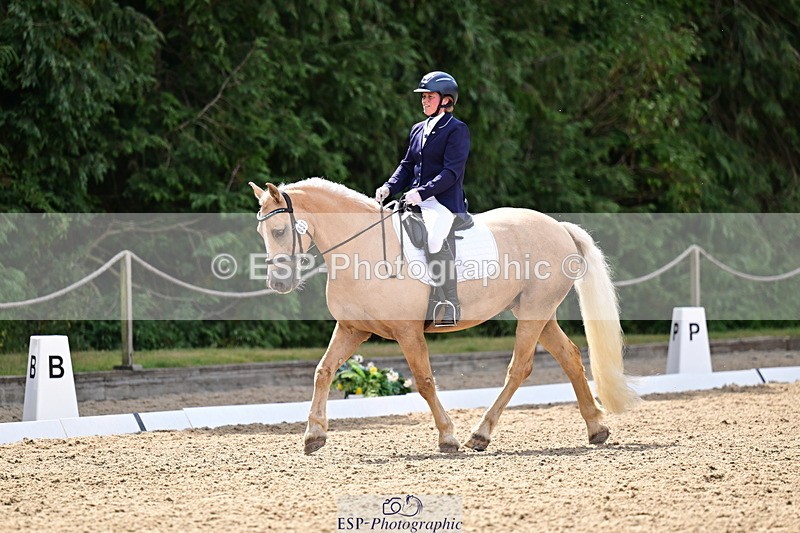 260802A-111458-05752 - Novice Silver break - break