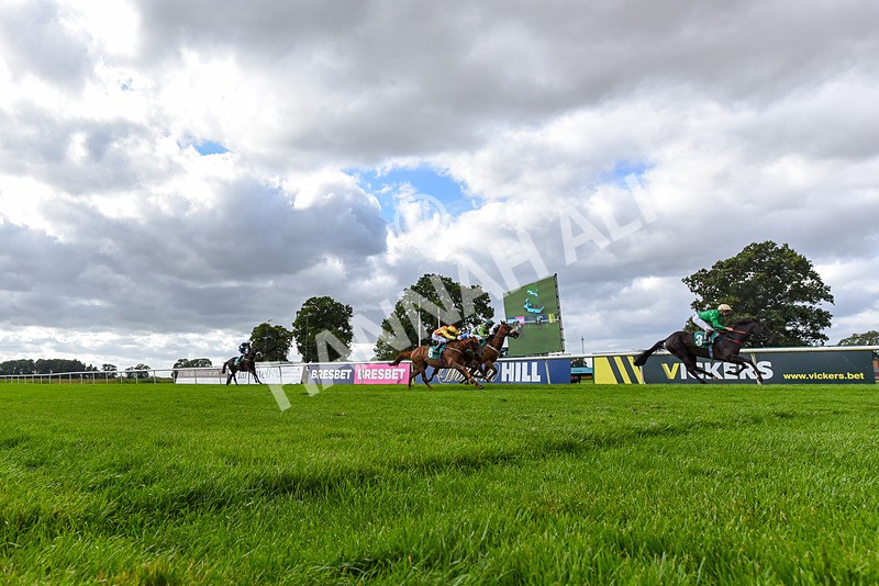 090824-Race 5-Quietness-2984 - Race 5