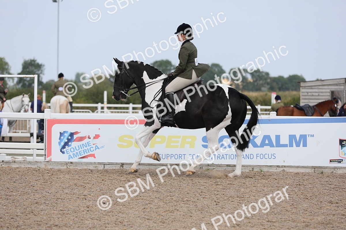 SBM_13473 - Class 308 Ridden Coloured Horse