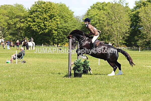 IMG_3696 - Working Hunter