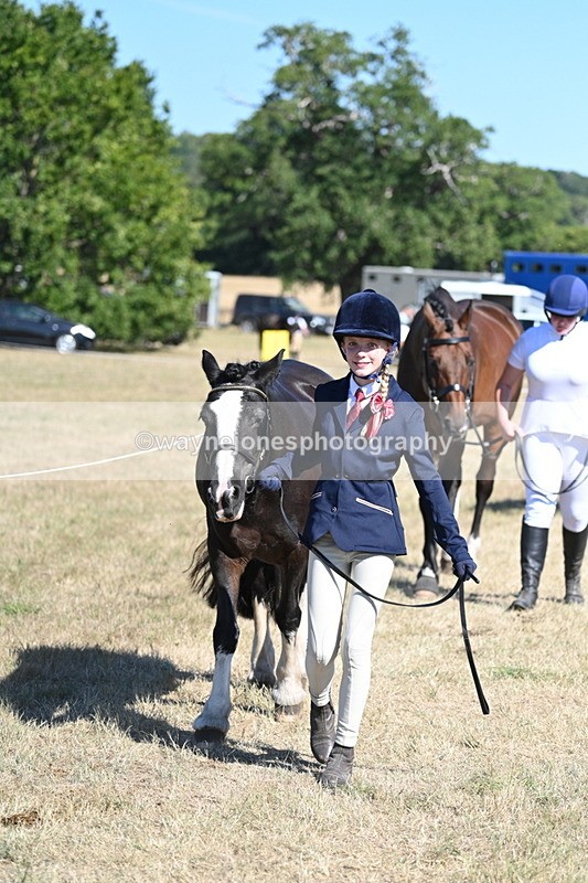 WJ7_1832 - Class 43 Best Six Legs (In hand)