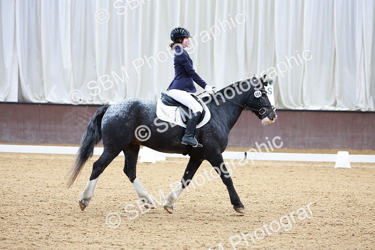 SBM_000206 - Class 3 -  CT Prelim 2/60cm