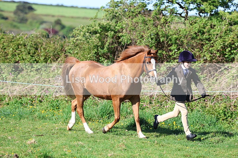 3E7A8349 - Class 12: M & M Small Breeds