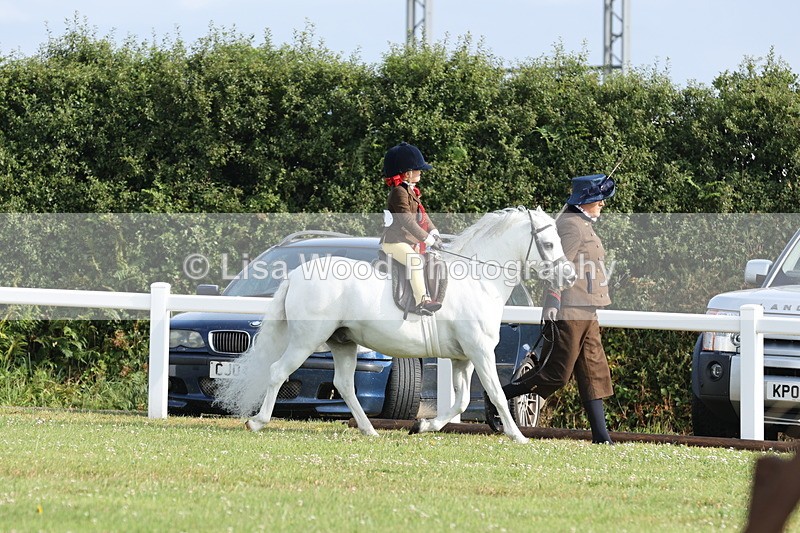 JPP_0493 - Class 14: Cornish Combination Leading Rein