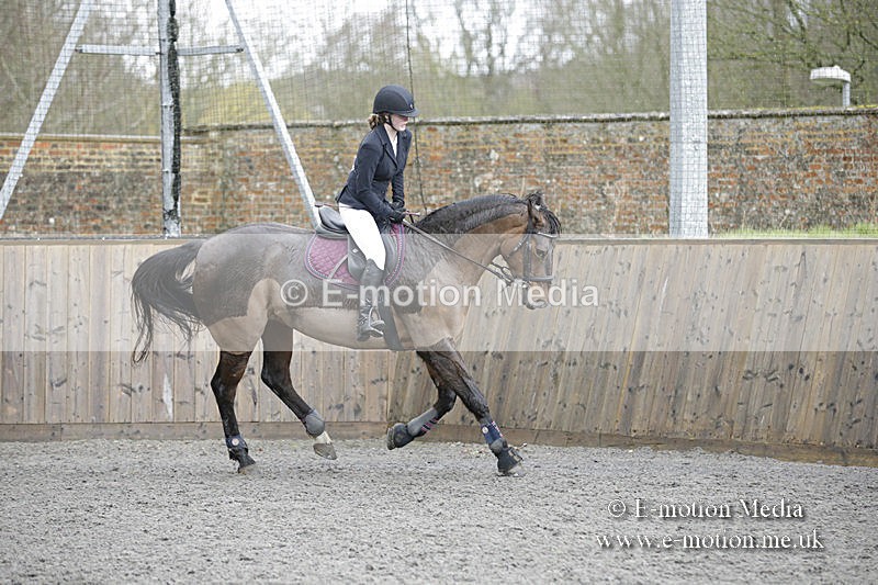 BVRC 050320 0308 - Bourne Valley riding Club Show Jumping Tidworth 08/03/20