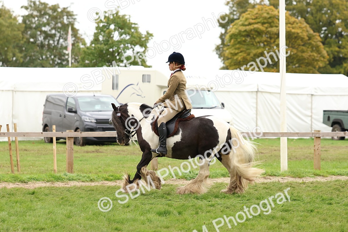 SBM_59973 - S36 - Rehabiliated Rescue Horse & Pony In Hand & Ridden