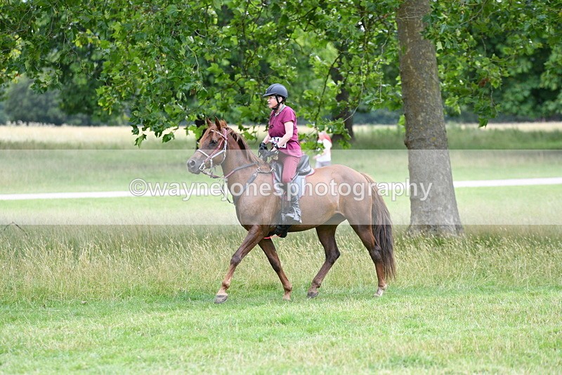 WJ5_0472 - Time at Jump 11:31 to 12:19