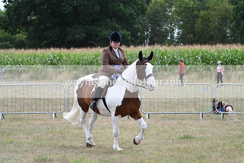 WJ7_5674 - Class 12 Ridden Cob