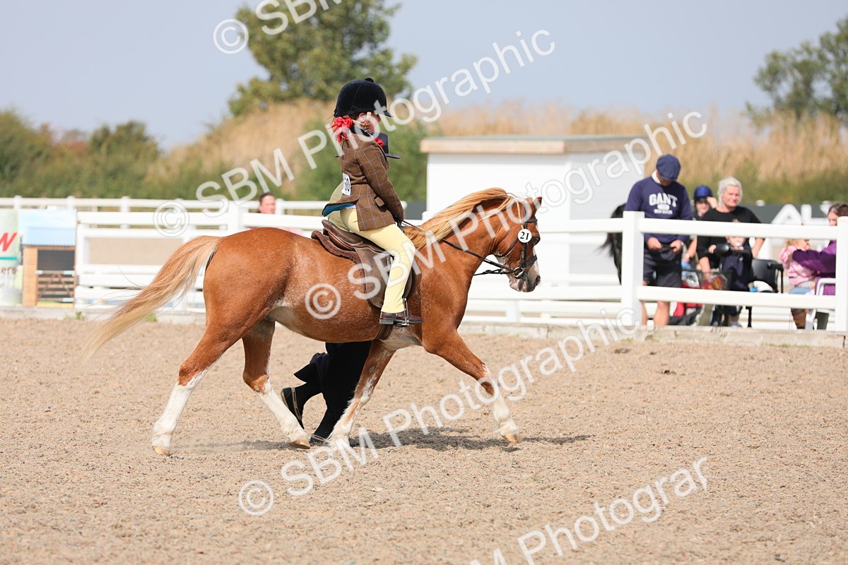 SBM_14071 - Class 309 Lead Rein Pony