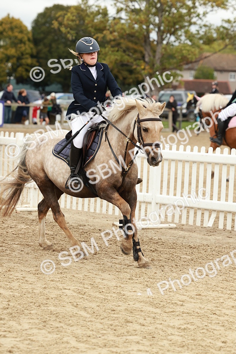 SBM_67079 - J13 - Junior Pony 60cm Championship