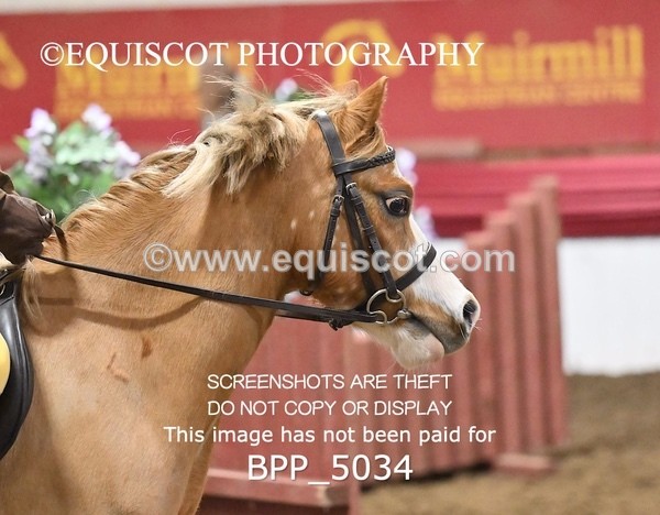 BPP_5034 - CLASS 3 40CM