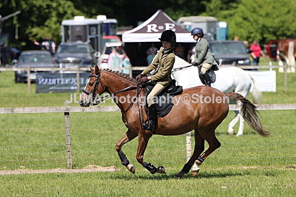 IMG_3630 - Working Hunter