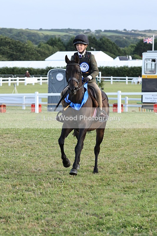 JPP_3793 - Working Hunter Championship