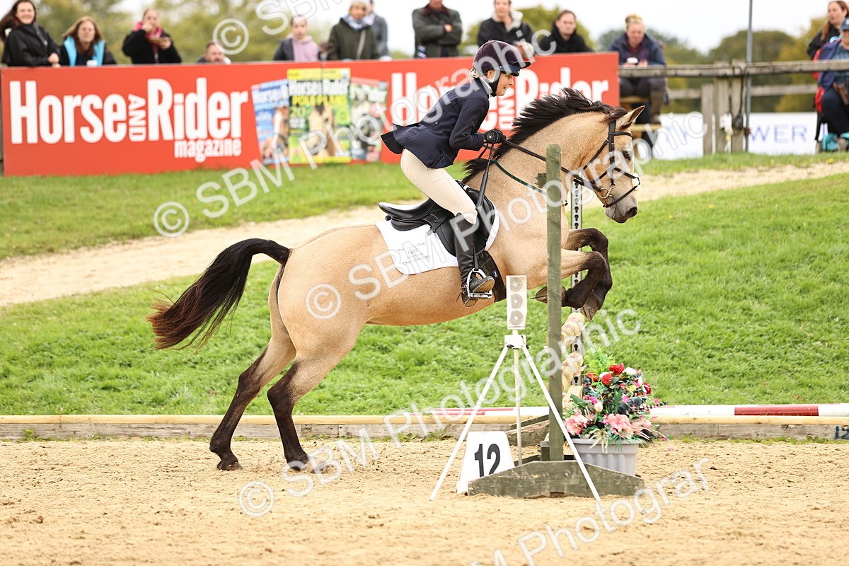 SBM_66555 - J17 - Junior Pony 80cm Championship