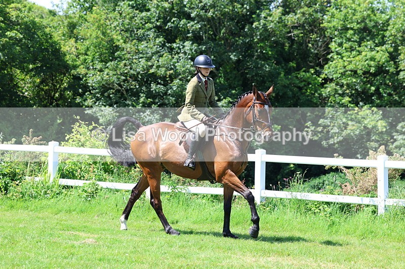 3E7A7189 - Class 30: Novice Working Hunter