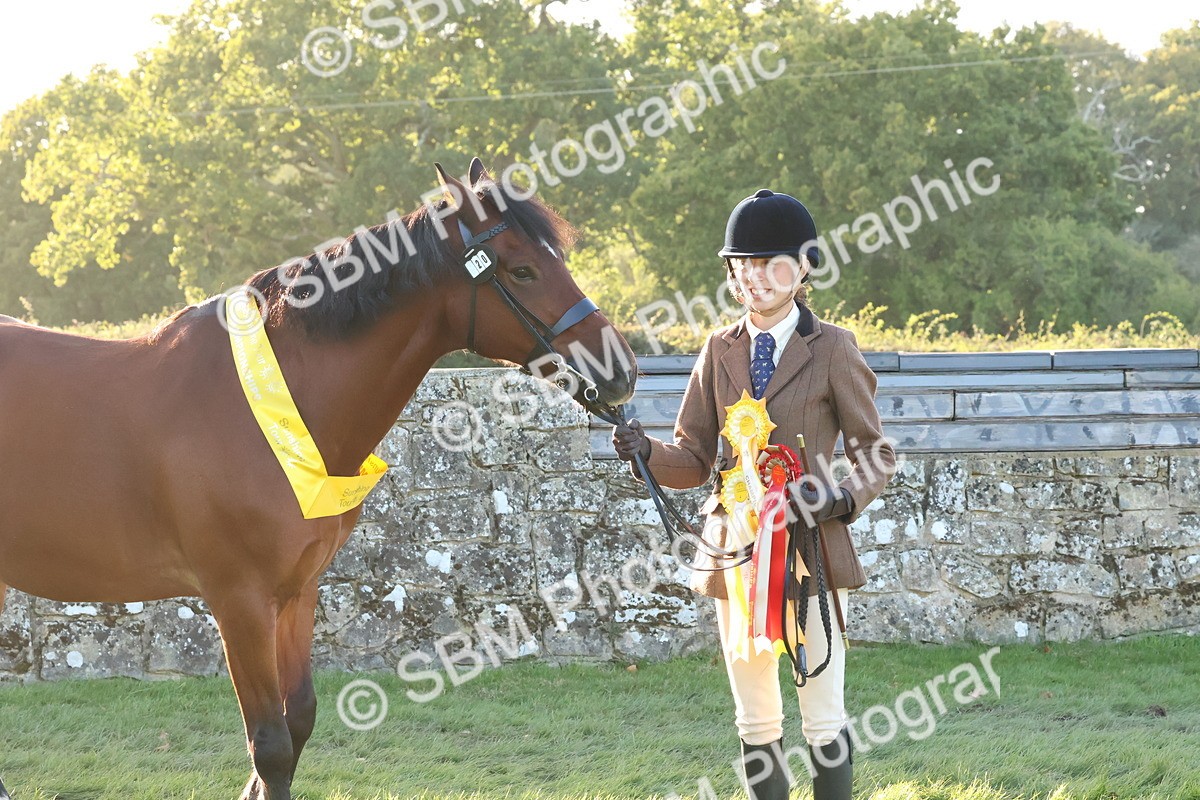 SBM_53188 - Veteran Supreme Championship