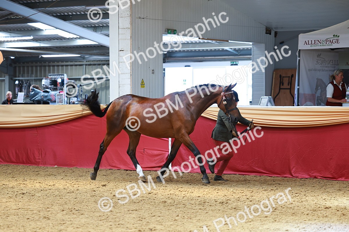 SBM_04097 - Class 9R - IH Pre-Vet