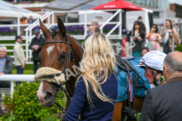 140624-Race 1-Tolstoy-3820 - Race 1 1.50pm Andy Thornton Hospitality Furniture Apprentice Handicap
