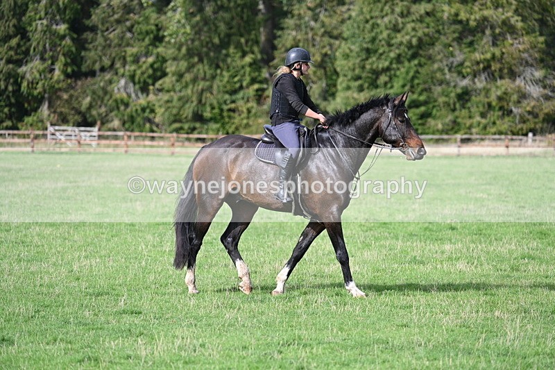 WJ7_9873 - Time 13:13 to 13:55