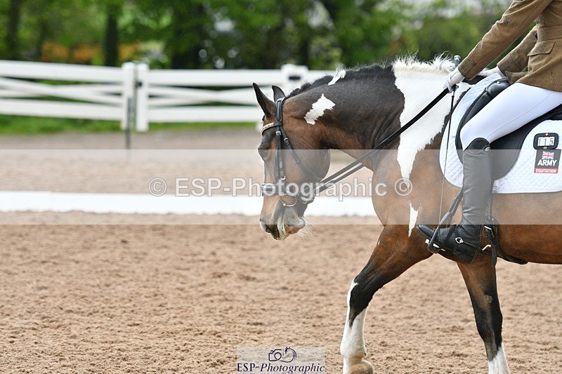 230511A-141018-00914 - BD Cls 11 Medium 75