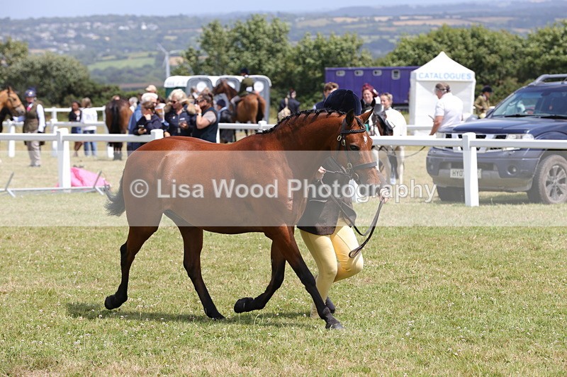 1X9A4809 - Class 35: Veteran In Hand