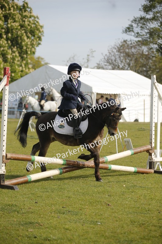 20260426-1089 - Class 1 - Mini Jumping - Lead rein or Assisted
