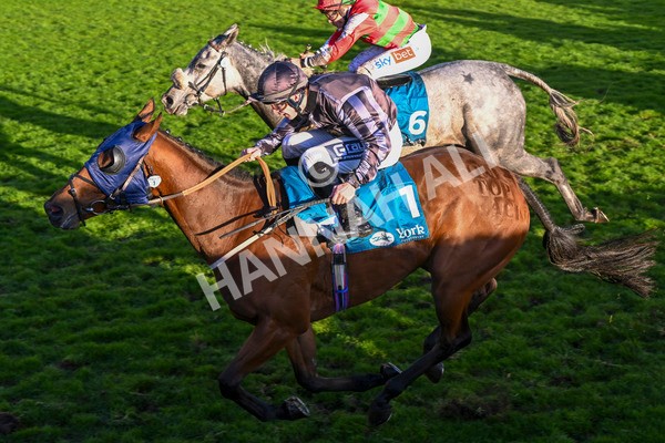 121024-Race 7-Two Brothers-3618 - Race 7 5.05pm Coral Committed To Safer Gambling Finale Handicap
